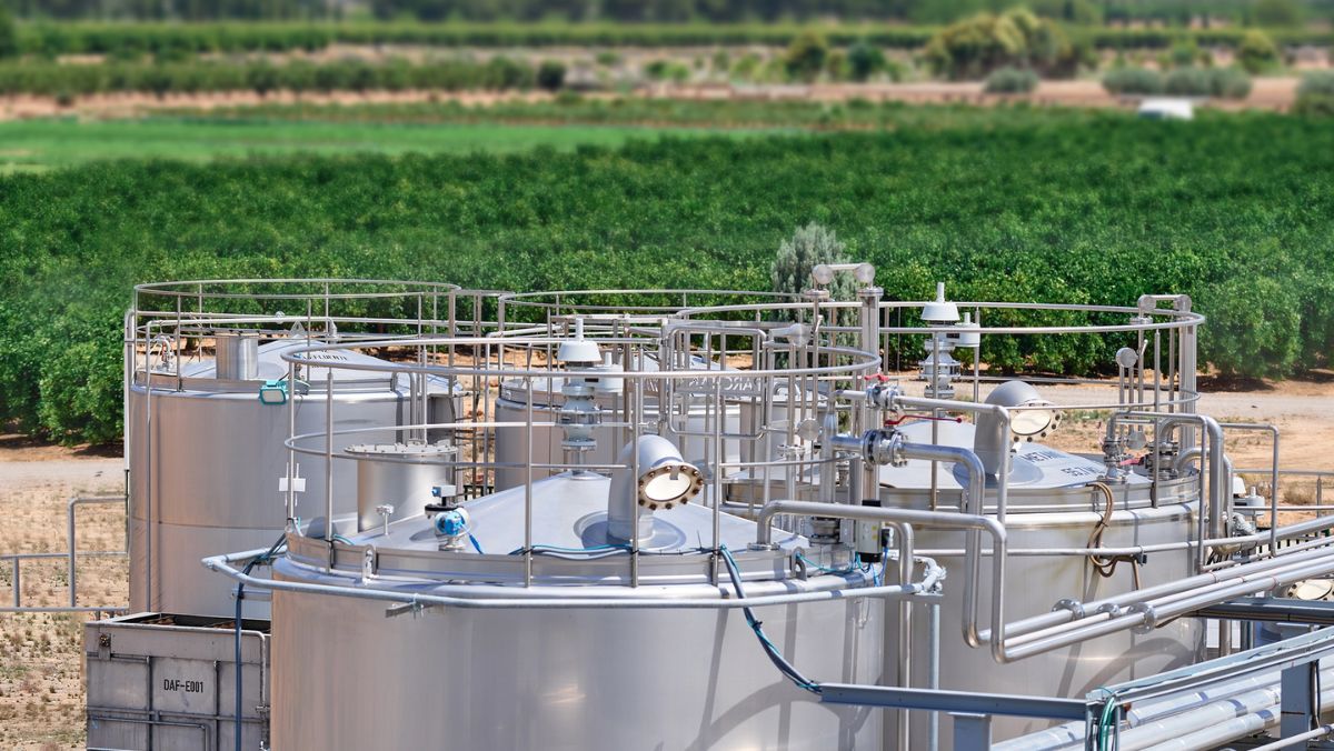 Kensing Named to CDP’s A List for Climate Leadership and Retains EcoVadis Gold Rating