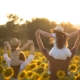 Upcycled Sunflower Derived Tocopherol