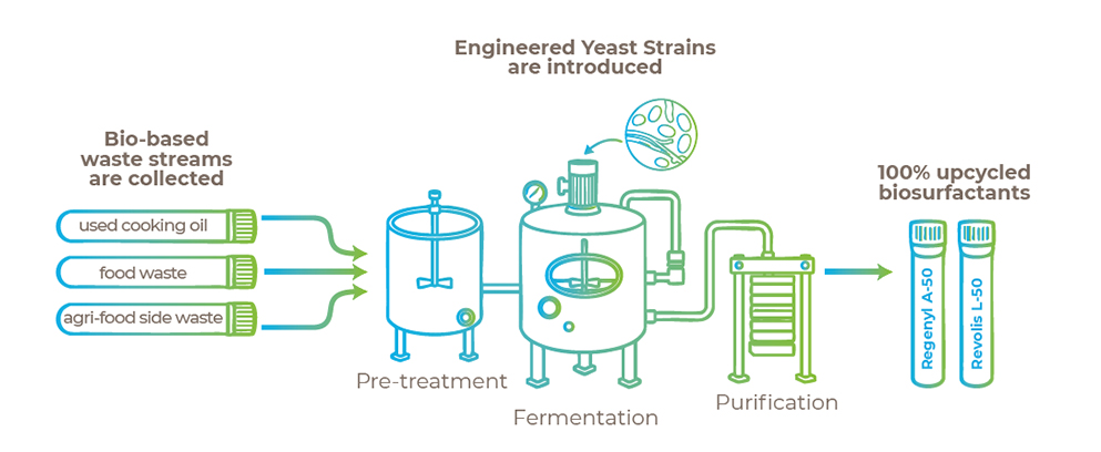 process transforms and upcycles bio-based wastes and by-product streams into high-purity low-carbon surfactants