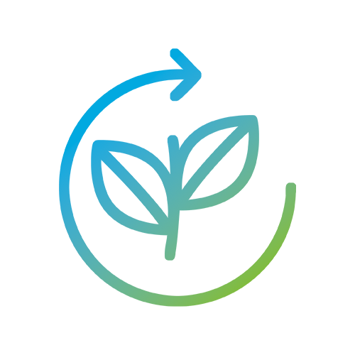 About Kensing: Sustainability
