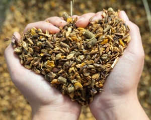 clean-label, high-performance equine nutrition applications