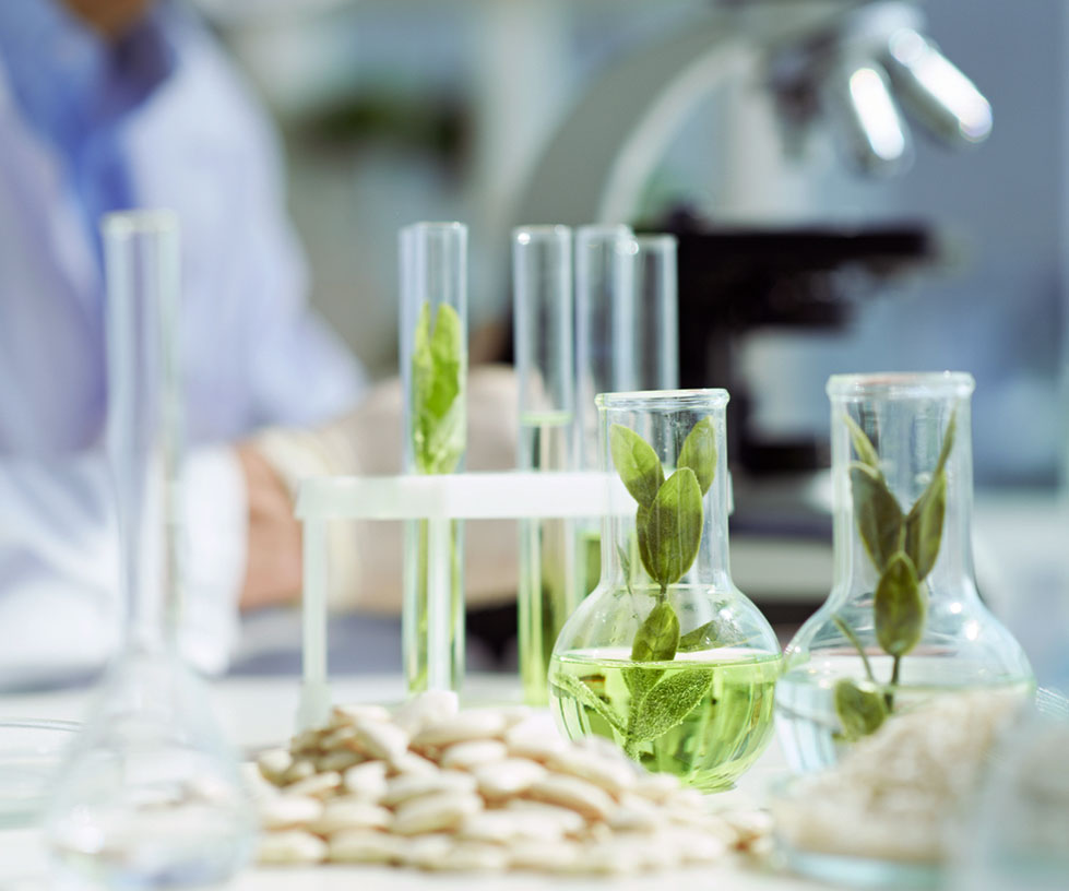 natural-VitaminE-phytosterols-active-ingredients-web Active ingredients like natural vitamin E or phytosterols for product development. Kensing portfolio.